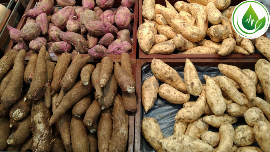 Mandioca ou Batata-doce: Qual Delas faz Mais Sucesso em Uma Alimentação Equilibrada?