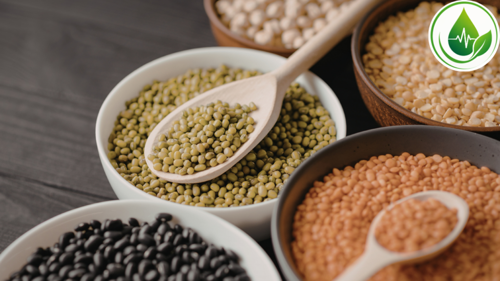 Lentilha ou Feijão: Qual Oferece Mais Fibras Para Uma Alimentação Equilibrada?
