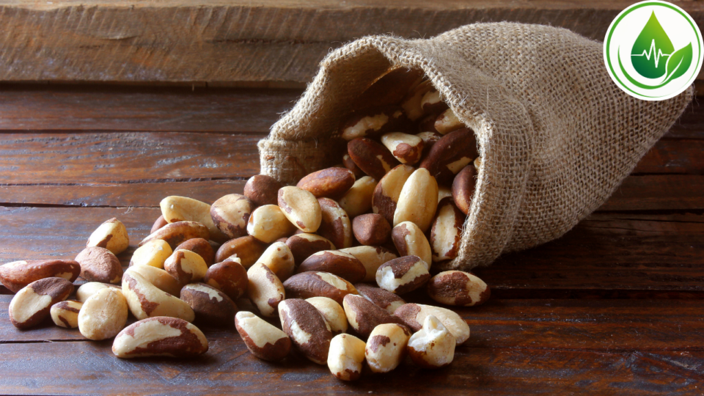 Castanhas Todos os Dias: vale a Pena Incluir na Alimentação?
