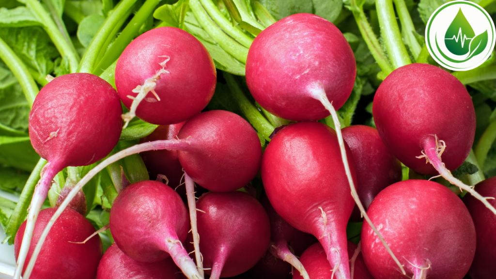 Rabanete: um Vegetal pouco Consumido, mas cheio de Curiosidades Nutricionais