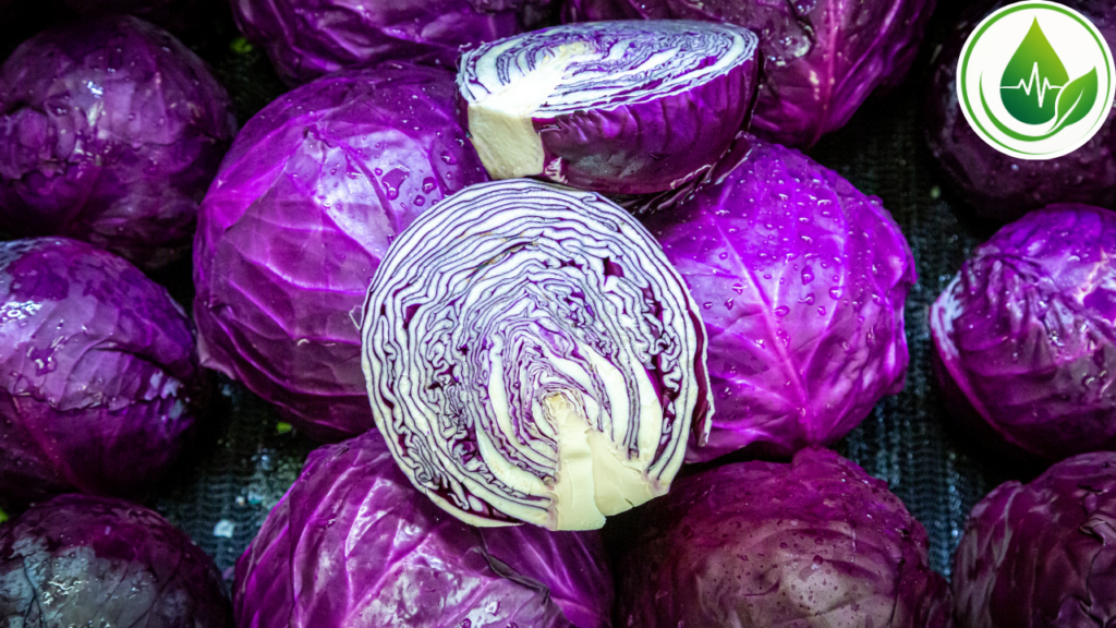 Repolho Roxo ou Verde: Existe Diferença Nutricional?