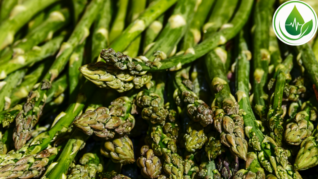 Aspargos: Por que Esse Vegetal é Tão Valorizado na Culinária?