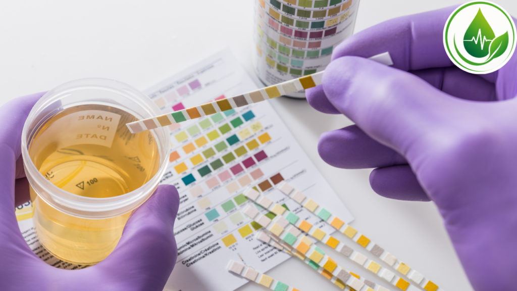 Glicose Alta pode Aumentar o risco de infecção urinária?