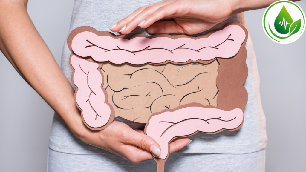 Fibras e funcionamento intestinal